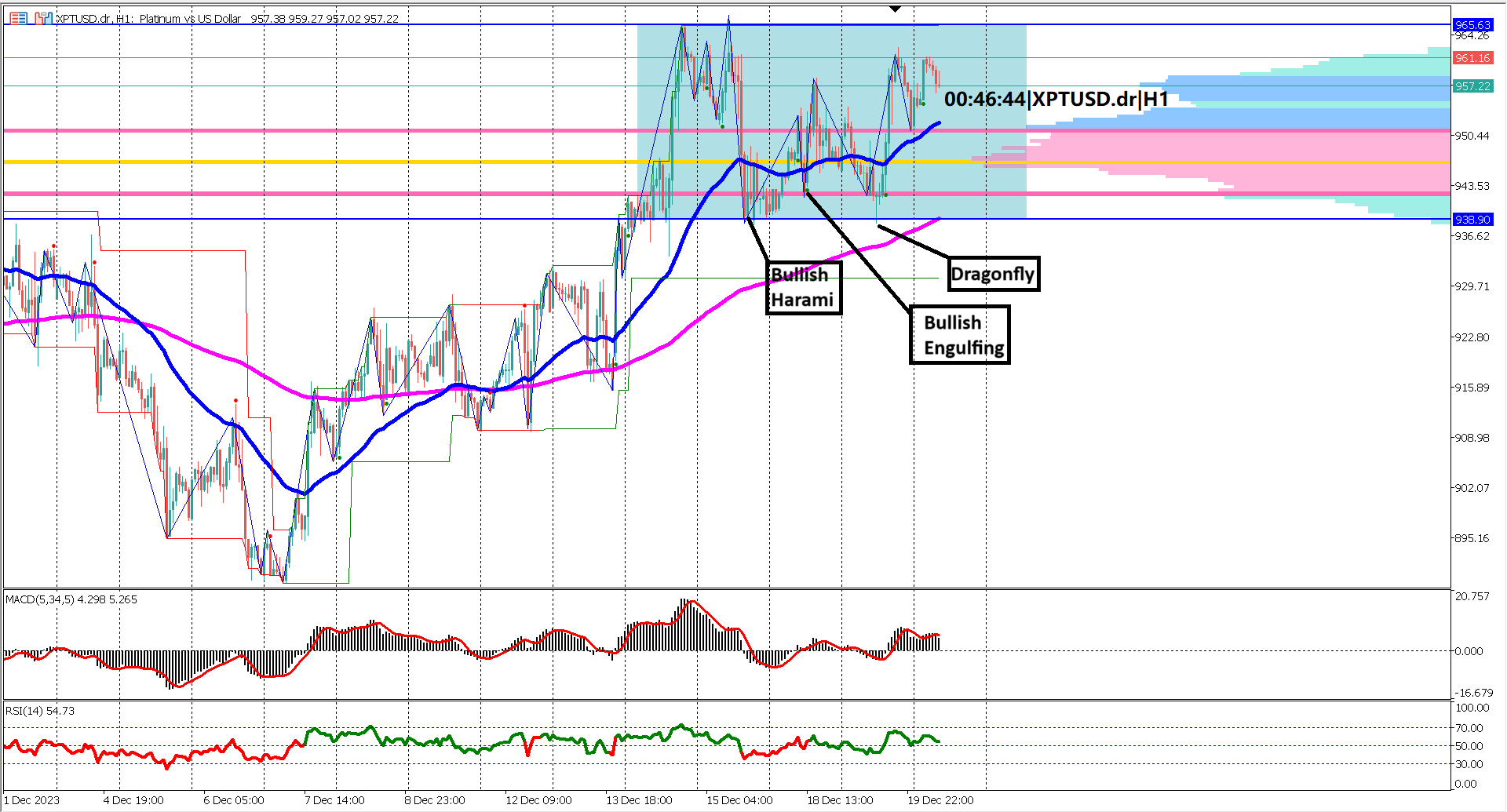 Unlocking Opportunities: Deciphering Platinum's Price Dynamics in a Bullish Re-accumulation Phase