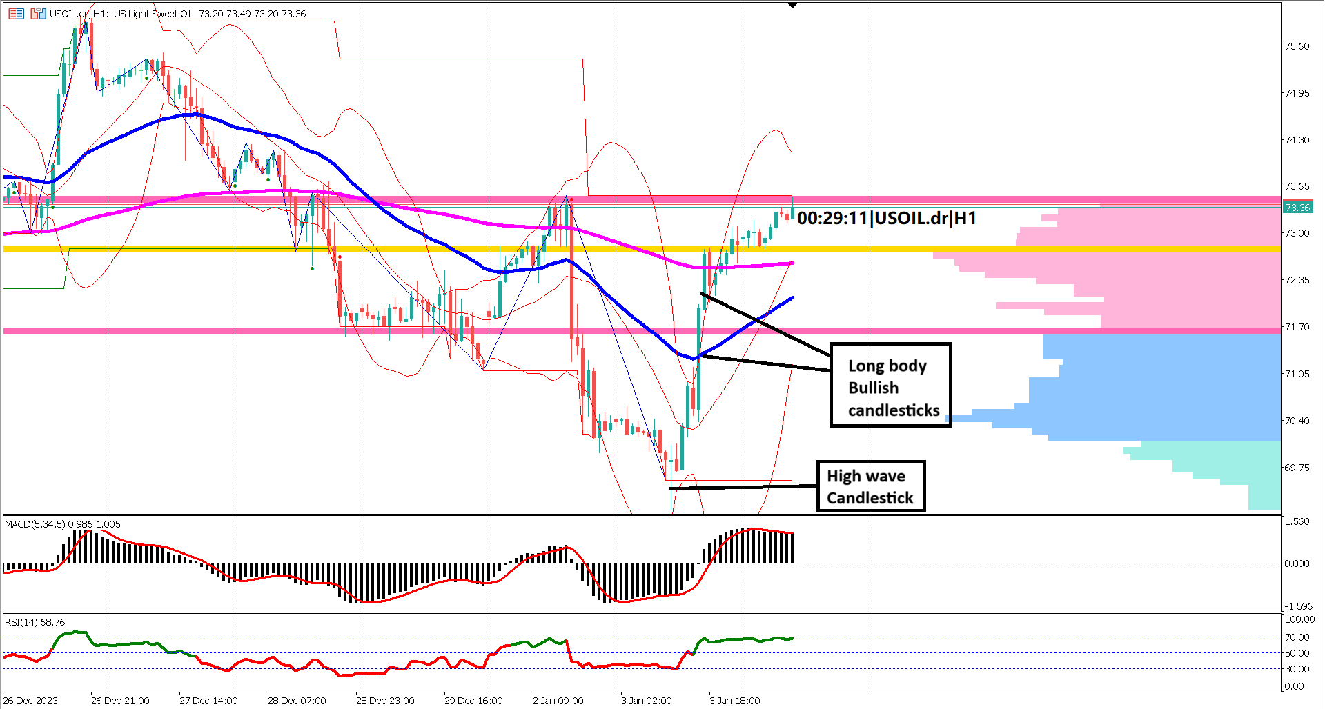 Oil Market Dynamics Unveiled: Can Bullish Signals Prevail Over the Bearish Trend?
