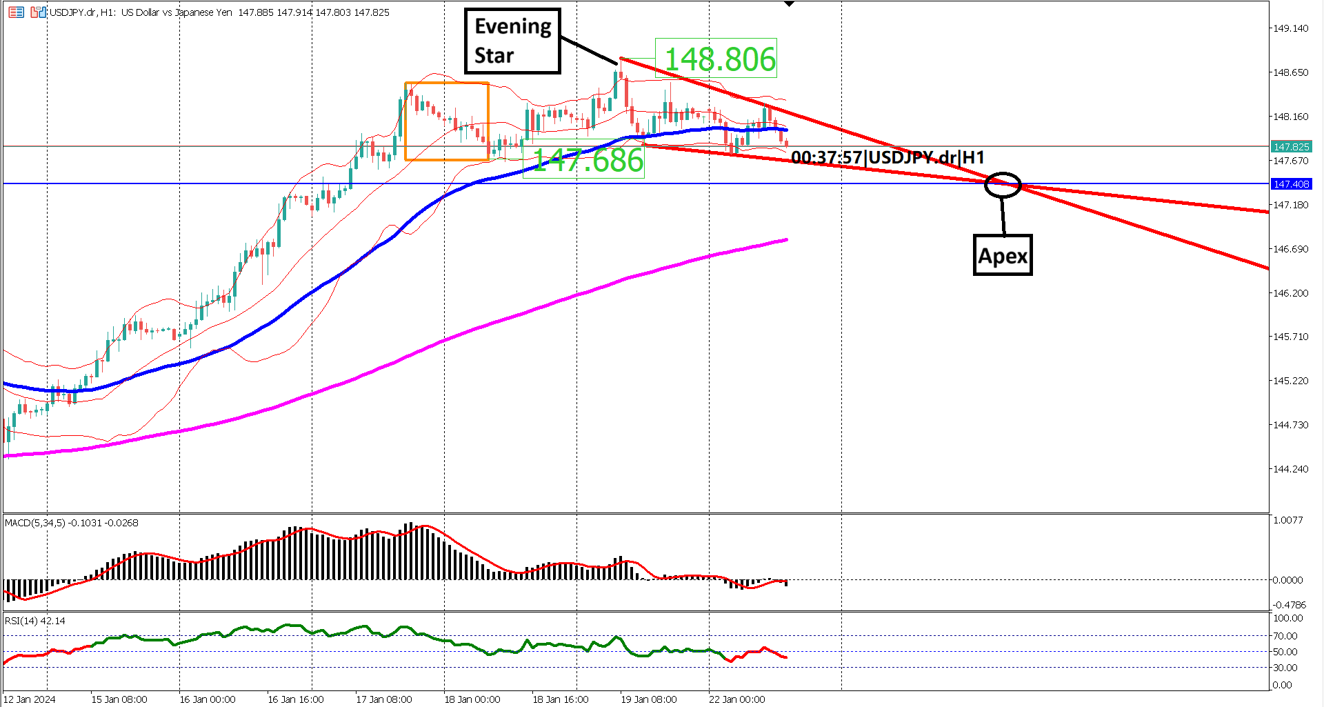 Dynamic Shift: USDJPY Bulls Brace as Signs of Momentum Slowdown Emerge