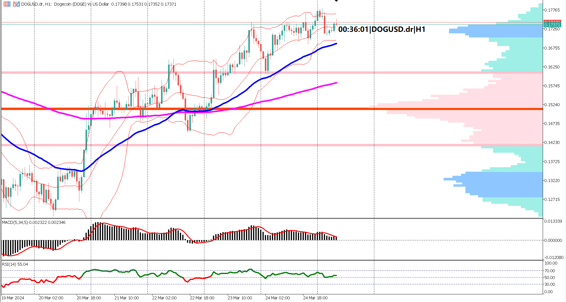 Altcoin Rally: Dogecoin's 7% Surge Defies Market Trends